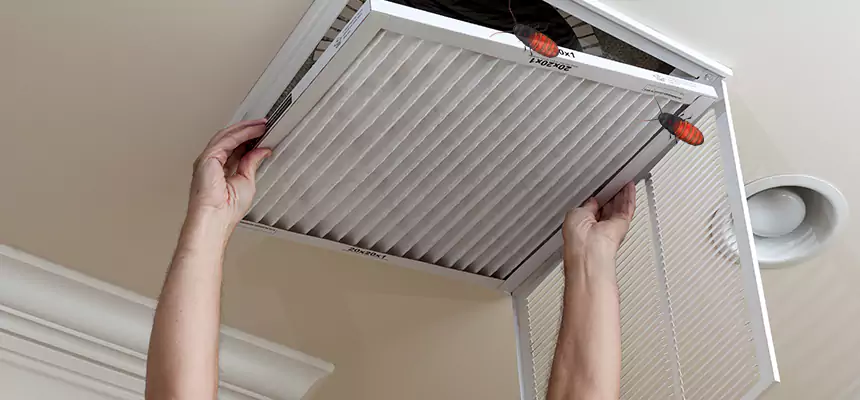 Preventive Cockroach-Proofing for Ducts in North Ogden