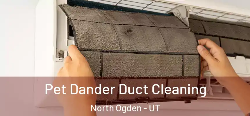  Pet Dander Duct Cleaning North Ogden - UT