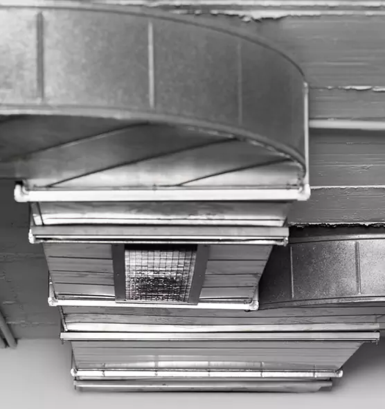 Professional Air Duct Pest Removal in North Ogden, UT