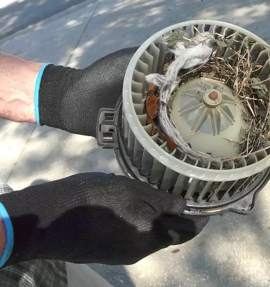 About Air Duct Rat Removal in North Ogden, UT