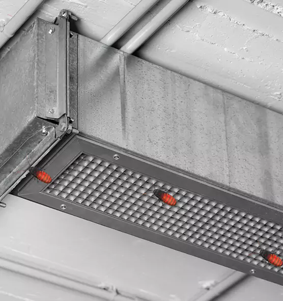 Affordable Insect Removal from Air Ducts in North Ogden, UT