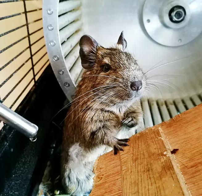 Why Homeowners & Businesses Trust Us North Ogden, UT?